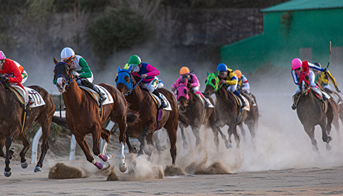 地方競馬で勝てない理由は？買ってはいけないレースが存在する？